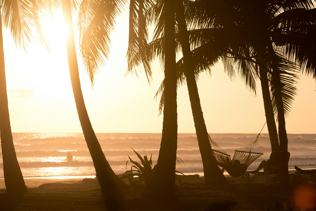 Los Mejores Destinos de Surf del Mundo