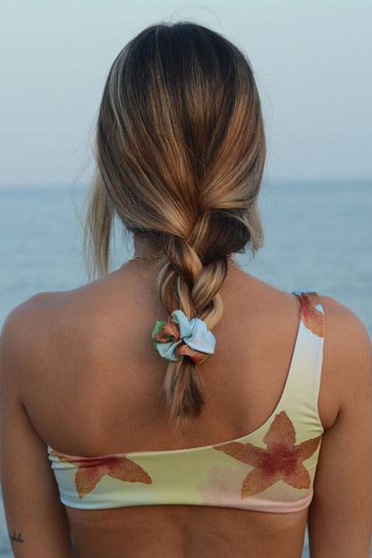 Coletero Surf Hawaii